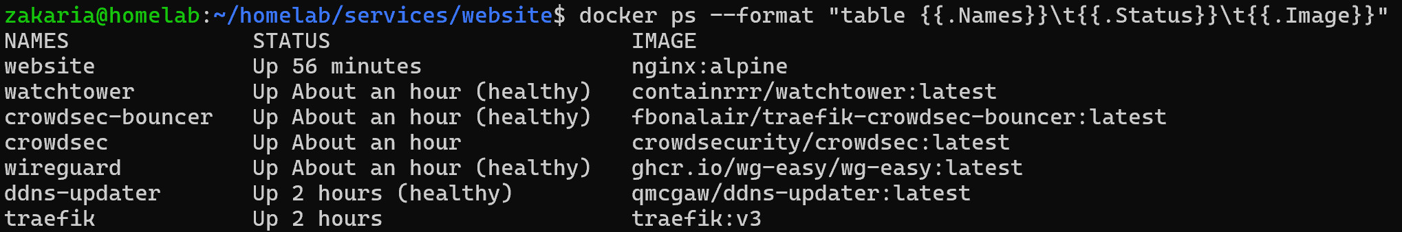 Terminal showing every homelab Docker service up and healthy